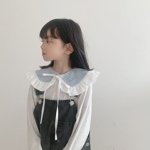 韓国生地 denim Toile de Jouy デニム DM002 商品画像15