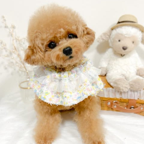 韓国生地 popping ice tweed ツイード TW006 商品画像1