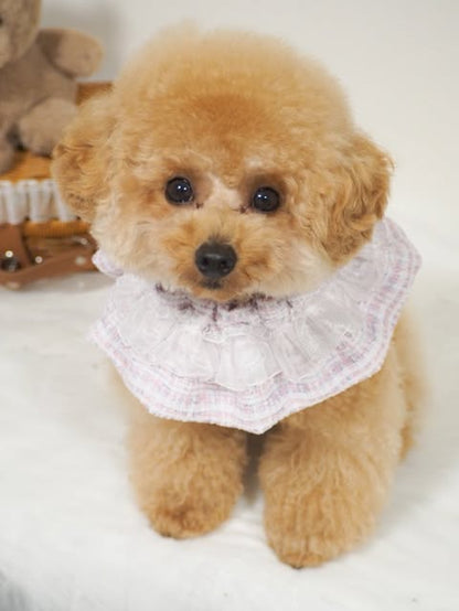 【即納】pastel tweed pink×purple  / ツイード［TW004］