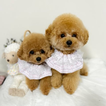 【即納】pastel tweed pink×purple  / ツイード［TW004］