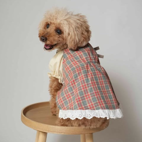 【即納】rustic mint check / コットン  / チェック［CO029］