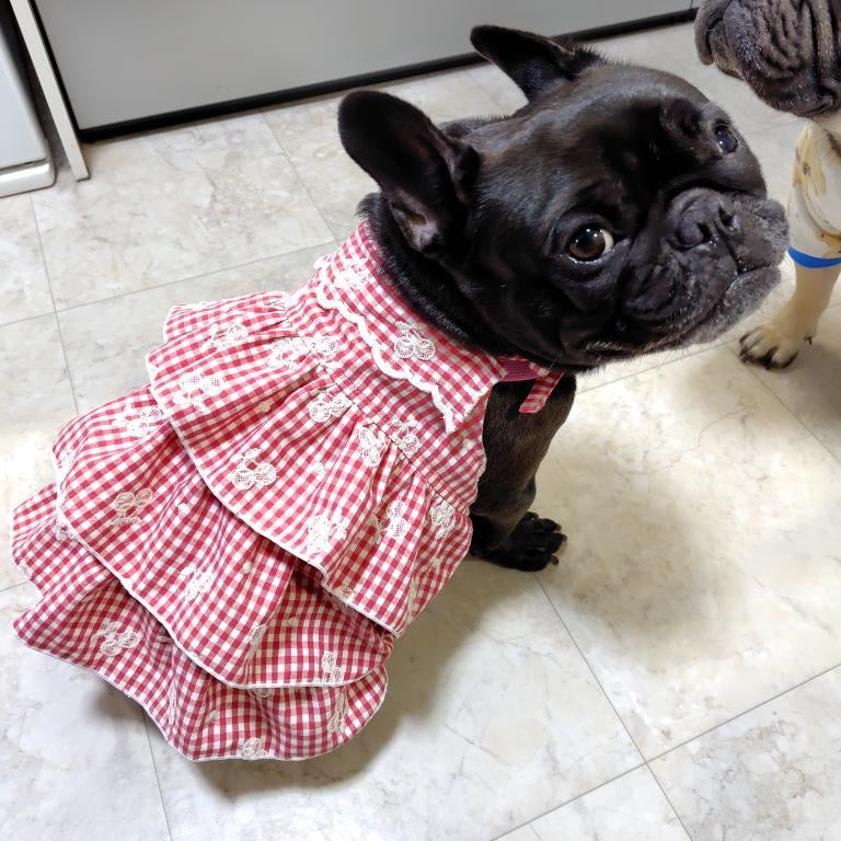 【即納】cherry check  / 刺繍 / コットン / チェック / チェリー［EM001］