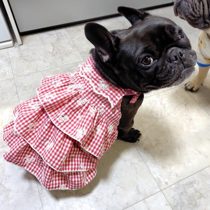 【即納】cherry check  / 刺繍 / コットン / チェック / チェリー［EM001］